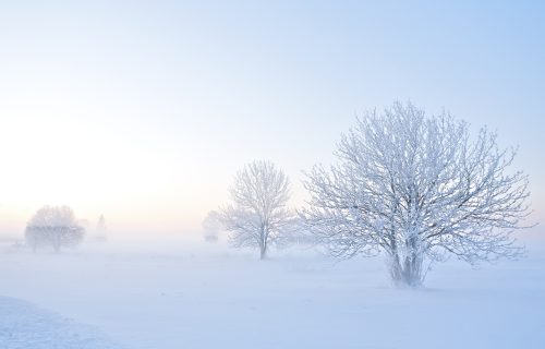 Hladnoća ima i svoje pozitivne strane: Devet razloga zbog kojih je zima dobra za zdravlje