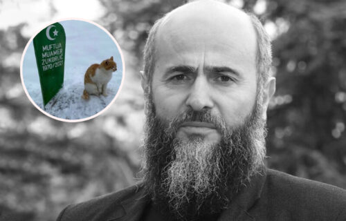 Zukorlićev mačak ponovo RASPLAKAO sve: Prizor sa muftijinog groba SLAMA i najtvrđa srca (FOTO)