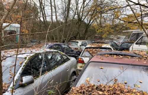 Šuma u kojoj UMIRU Volkswageni: Ove scene rastužiće svakog ljubitelja automobila (VIDEO)