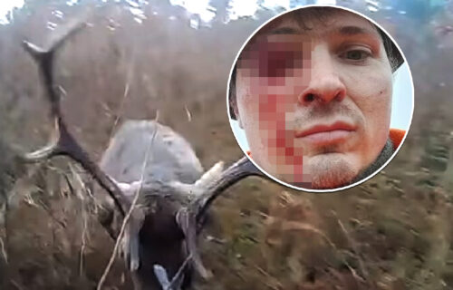 Snimak UŽASA iz prvog lica: Jelen brži od metka PROBURAZIO lovca, jedan potez mu je spasao život (VIDEO)