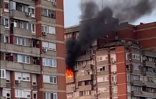 Veliki POŽAR na Novom Beogradu: Vatra "guta" stan u soliteru, plamen izbija kroz prozore (VIDEO)