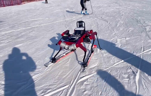 Kineski robot skija! Pogledajte kako UŽIVA u slalomu, a sutra će nekome spasiti život (VIDEO)