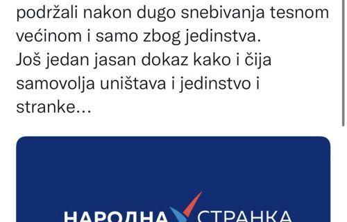 Tadićeva portparolka OBJASNILA: Jasno je da Đilas i njegova samovolja UNIŠTAVAJU jedinstvo opozicije