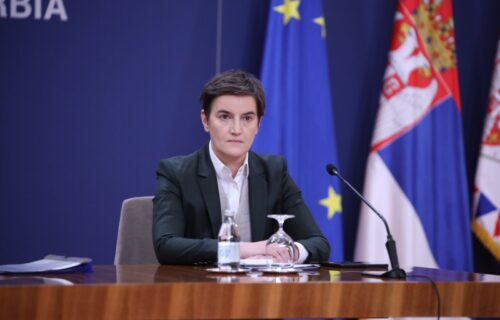 Brnabić o SUMANUTIM lažima i napadima na predsednika Vučića: Ovo je primer GLUPOSTI stručnjaka (FOTO)