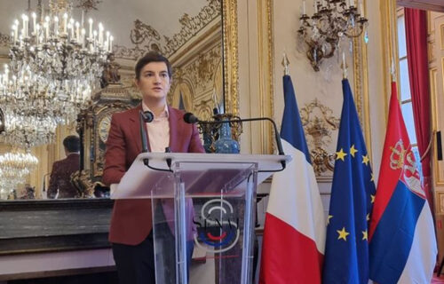 Brnabić u Parizu: Srbija očekuje još veće prisustvo francuskih kompanija (FOTO)
