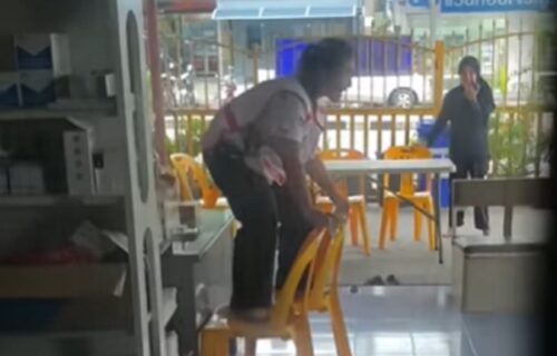 Gušter se ušunjao u restoran i nasmrt PREPLAŠIO radnike: Reakcija žene postala je hit (VIDEO)