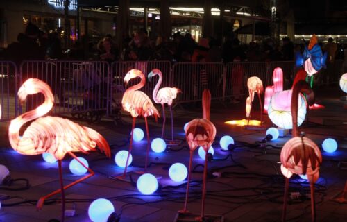 Besplatna ČAJANKA na Sava Promenadi: Nesvakidašnja zabava povodom zatvaranja Kineskog festivala svetla