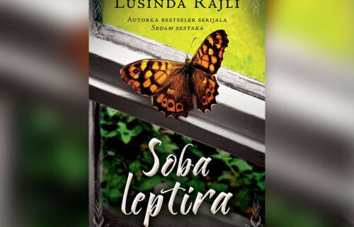 „Soba leptira“: Čarobna knjiga o ljubavi, gubitku i šansi za novi početak