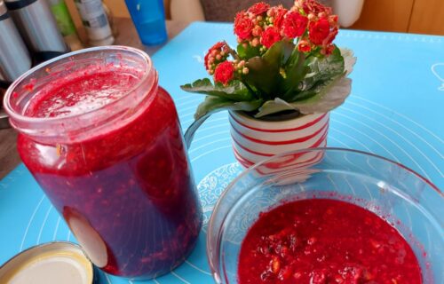 Moćan domaći sok za MALOKRVNE: Popravlja krvnu sliku i jača imunitet (RECEPT+VIDEO)