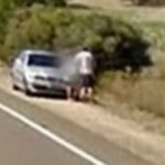 Kamera ih uhvatila u vrućoj akciji kraj puta: Internetom kruže fotke iz više uglova (FOTO)