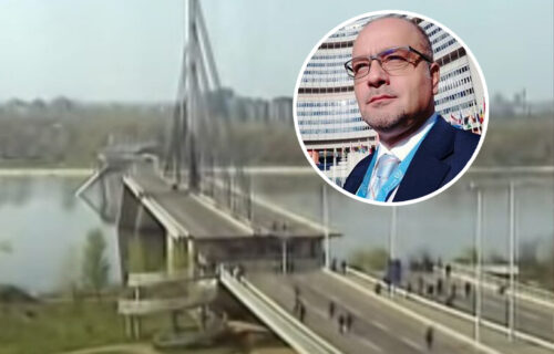 Profesor Videnović ponovo ŠOKIRAO i razbesneo javnost: Ubice male Milice Rakić nazvao CIVILIZOVANIM