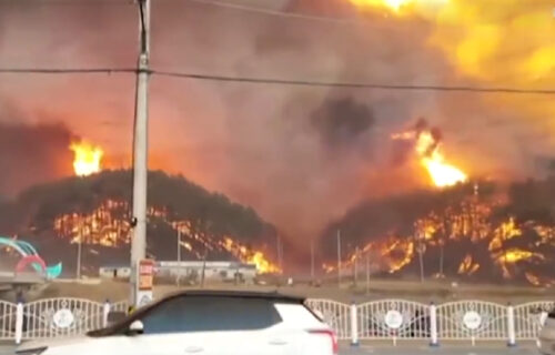 Izbio požar u NUKLEARNOJ ELEKTRANI: Dve hiljade ljudi obuzdava vatrenu stihiju, svi evakuisani (VIDEO)