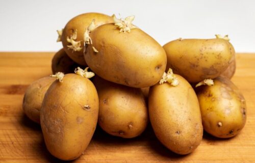 Saveti stručnjaka: Kako da pravilno čuvate krompir i sprečite truljenje