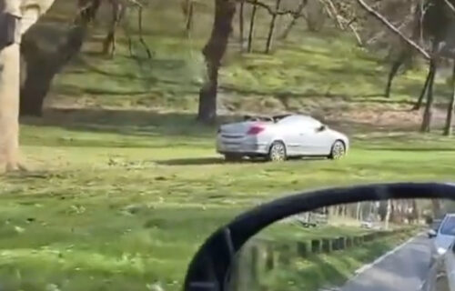 Slika i prilika BAHATE vožnje: Pogledajte kako vozač na Košutnjaku pokušava da IZBEGNE gužvu (VIDEO)