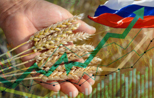 Rusija uvodi NOVE MERE! Porez na izvoz pšenice VEĆI nego ikada: Carina će premašiti 100 dolara po toni