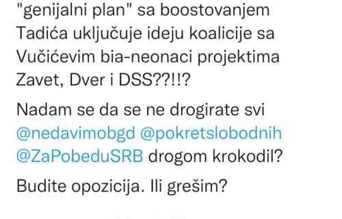 Marinikin i Đilasov jurišnik poručio: Udružiće se i sa CRNIM ĐAVOLOM samo da se dokopaju vlasti! (FOTO)