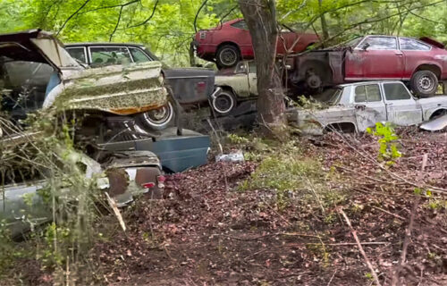 Šuma u kojoj umiru automobili: Pogledajte groblje 4.000 oldtajmera, skriveno od znatiželjnika (VIDEO)