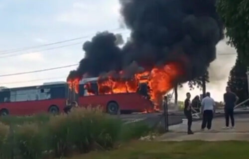 IZGOREO Lastin autobus u blizini Obrenovca: Vozilo potpuno UNIŠTENO (VIDEO)