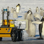 Pingvini na Antarktiku dobili novog prijatelja: Njegovo ime je ECHO, a došao je da ih spasi (VIDEO)