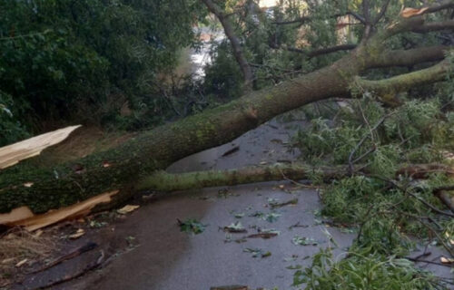 "Kao da je kroz selo protutnjao TORNADO": Nezapamćeno olujno NEVREME u Topoli, meštani u šoku (FOTO)