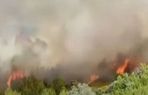 Grčku ponovo potresaju POŽARI: Gori Evija - vatrogasci se bore sa stihijom, naređena EVAKUACIJA (VIDEO)