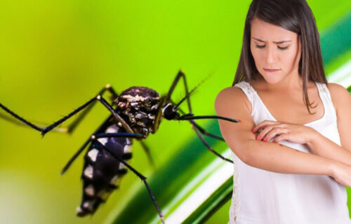 VIRUS Zapadnog Nila registrovan u Srbiji: Obolela žena iz Požarevca