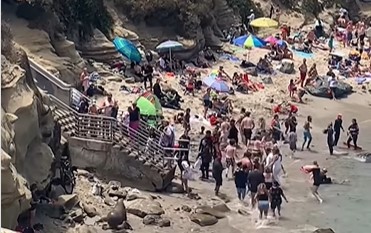 Drama na plaži: Kupači provocirali ZVERKE, pa je izbio opšti haos, bežali su glavom bez obzira (VIDEO)