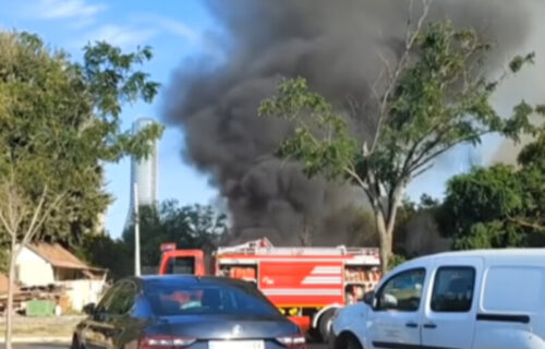Vatrogasci jedva SAVLADALI vatrenu stihiju na Novom Beogradu: Vetar raspirivao PLAMEN (VIDEO)