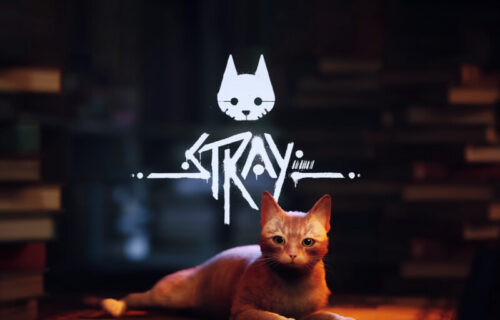 Stray ruši rekorde: Igrači na Steamu poludeli za avanturom u kojoj postaju mačka (VIDEO)