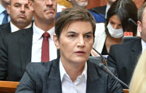 Brnabić ODBRUSILA Mariniki Tepić: Šampion u menjanju stranaka, amorfnih stanja i kruženju u prirodi