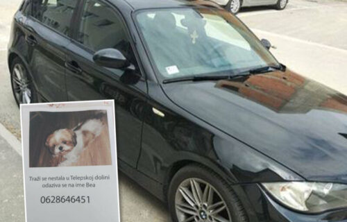 Vest obišla celu Srbiju: Novosađanin IZGUBIO psa, ko mu pronađe ljubimca dobija BMW (FOTO)
