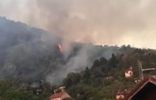 POŽAR na Vršačkom bregu: Vatra se ŠIRI, ugrožene su i kuće (VIDEO)