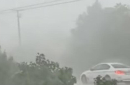 NEVREME besnelo u Kikindi: Oluja čupala drveće, stabla padala na automobile (VIDEO)