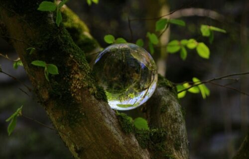 Misteriozne "kugle s antenama" izazvale pometnju na mrežama: Šta se dogodilo u Meksiku (FOTO)