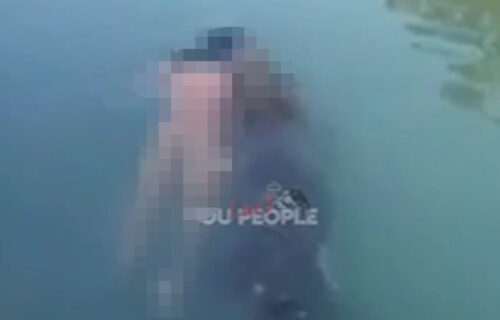 (UZNEMIRUJUĆI VIDEO) Krokodil VUKAO polugolo telo muškarca: Ljudi sa obale gledali jeziv prizor