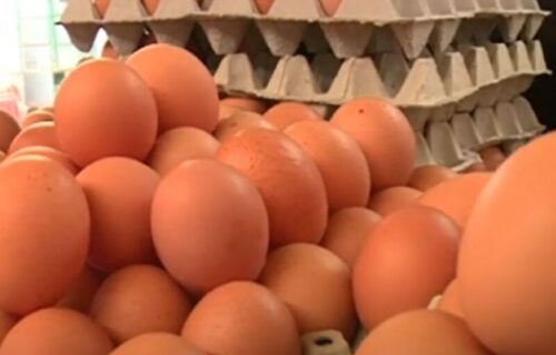 Trik za proveru svežine jaja: Evo šta vam je potrebno (FOTO)