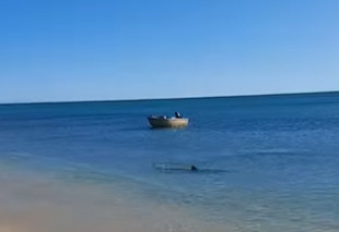 STRAVIČNA scena u plićaku: Muškarac hteo da proveri vodu na plaži, a onda je usledio HOROR (VIDEO)