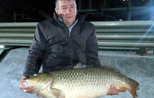 Zoran upecao ŠARANA rekordera! Grdosija stara 60 godina izvučena iz Dunava kod Smedereva