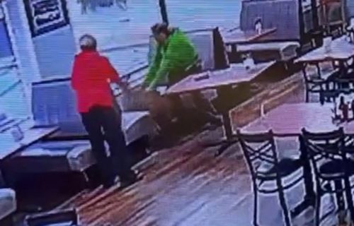 Haos u restoranu: Upao im "nezvani gost" iz šume, pa probao da izađe kroz prozor (VIDEO)