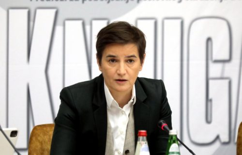 Premijerka Brnabić: Molim EU da pomogne da Dejan Pantić bude pušten