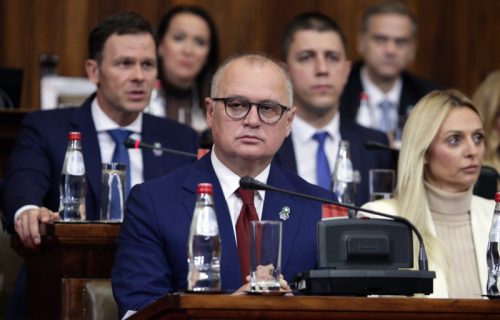 "LAŽNE patriote pokazale da je njihova politika izazivanje haosa": Vesić o PRETNJAMA upućenim predsedniku