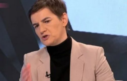 Brnabić o Radi Trajković i Nenadu Rašiću: Sa vrha ili sa dna, ti ljudi su iz te KACE