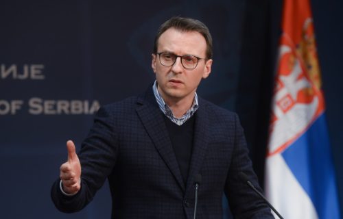 Petković: Može se razumeti PANIKA gospođe Stamenkovski što predsednik Vučić ništa nije potpisao u Ohridu