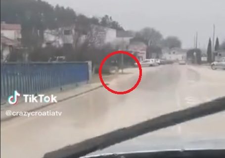 Panika u Hrvatskoj zbog STVORENJA koje šeta kraj škole: Svi se pitaju šta je to na snimku (VIDEO)