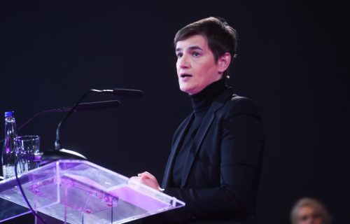 "Junaci" nesrećni, Vučić i vas štiti zarad STABILNOSTI: Brnabić o divljanju desničarskih ekstremista