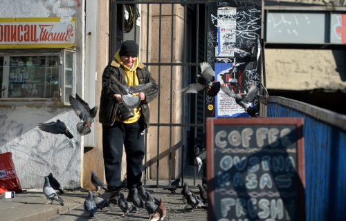 Danas do 15 stepeni: Nakon jutarnje magle, sledi nam PROLEĆNO vreme