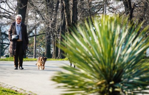 Novo PROLEĆE usred zime: Kako preživeti VELIKE temperaturne promene, a evo ko će ih najviše osetiti