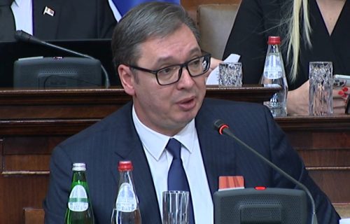 "NEMA PREDAJE" smo mi odštampali: Predsednik Vučić žestoko odgovorio Milici Đurđević Stamenkovski