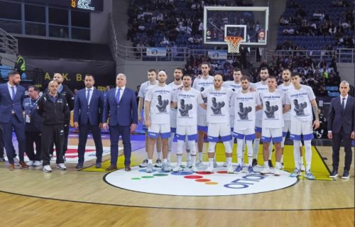 Prelep gest pre početka utakmice Grčka - Srbija: Zajednička slika za Stevana Jelovca! (FOTO)