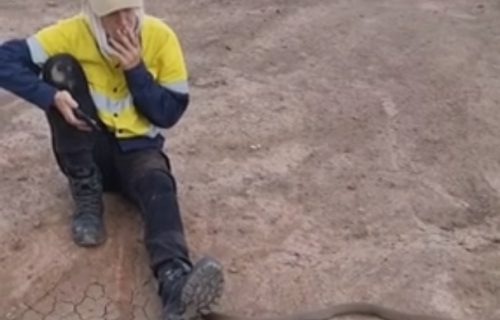 Nikad napetiji snimak: Ženi se SMRTONOSNA zmija prikrala na puš-pauzi, kasno ju je primetila (VIDEO)